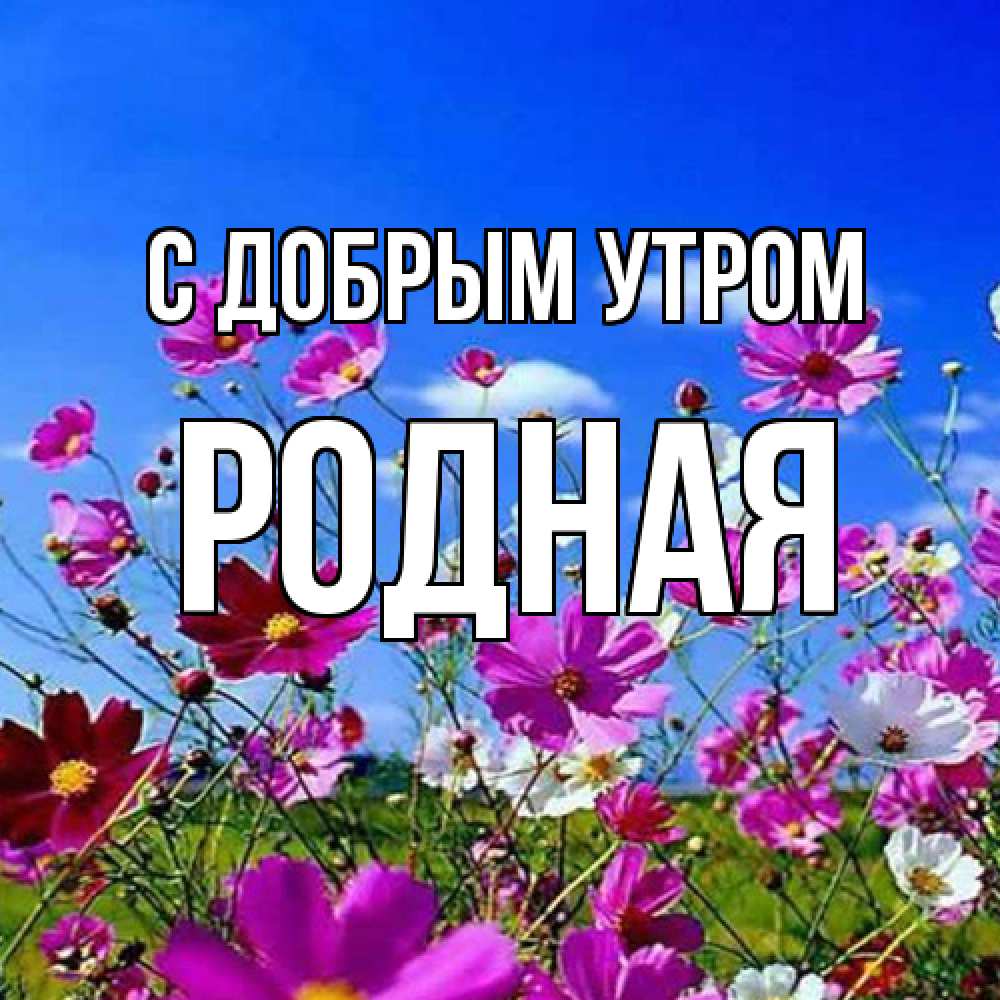 Открытка  с именем. Родная, С добрым утром  