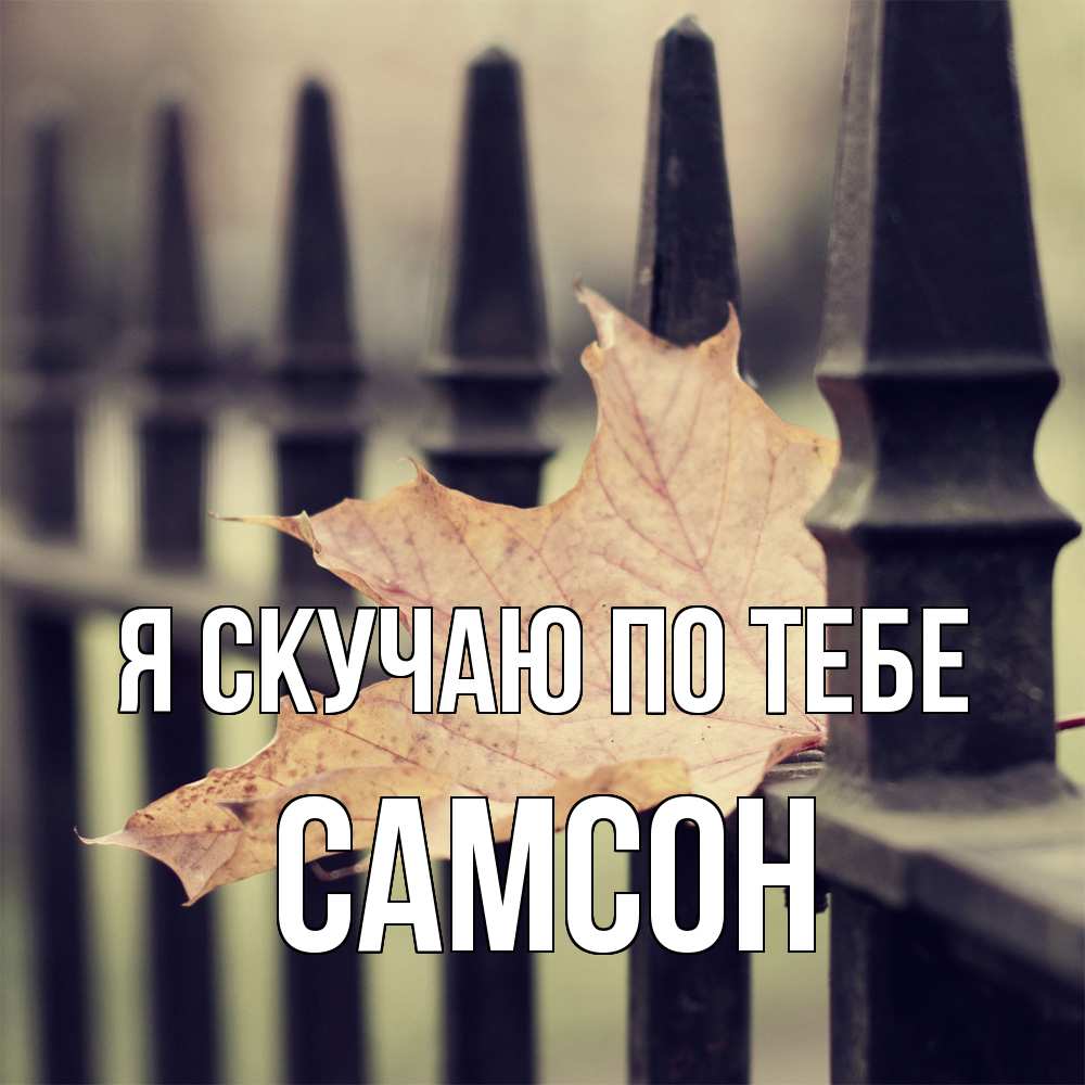 Открытка  с именем. Самсон, Я скучаю по тебе  
