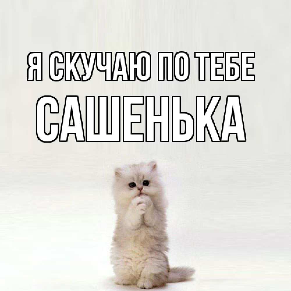 Открытка  с именем. Сашенька, Я скучаю по тебе  
