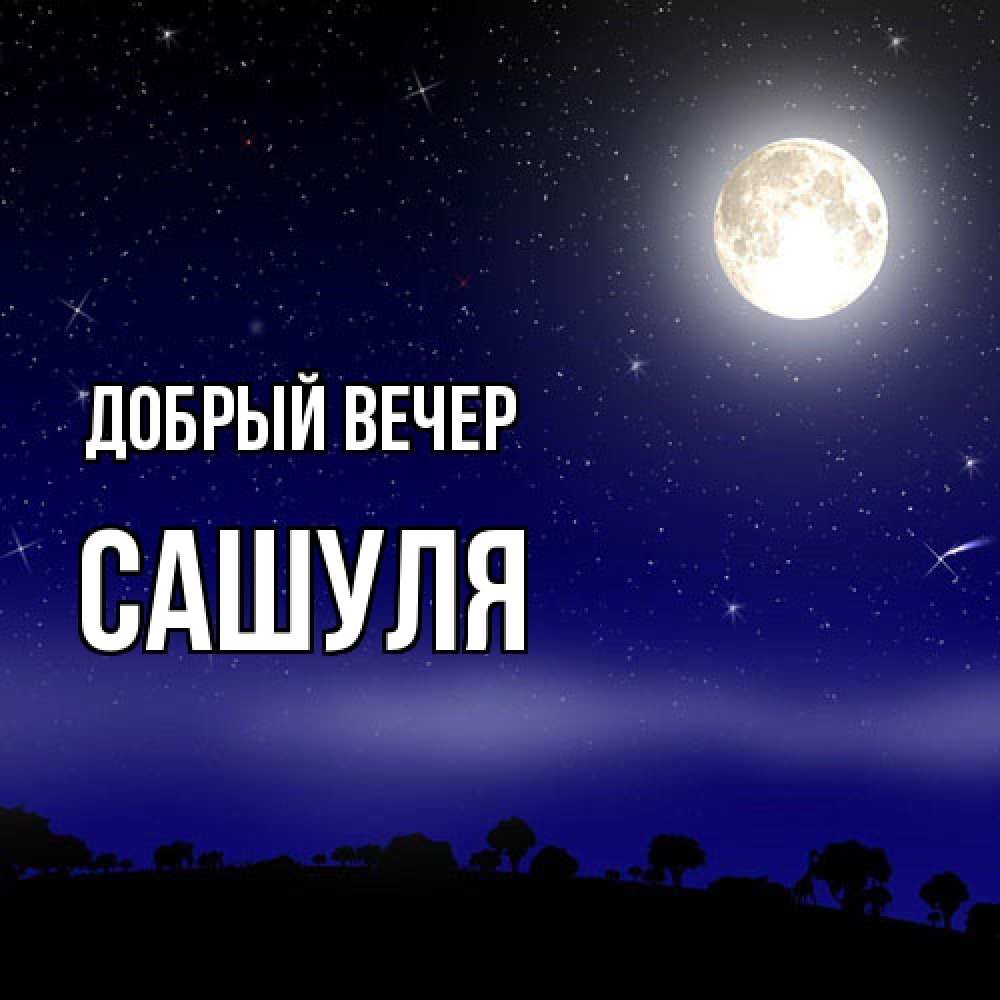 Открытка  с именем. Сашуля, Добрый вечер  