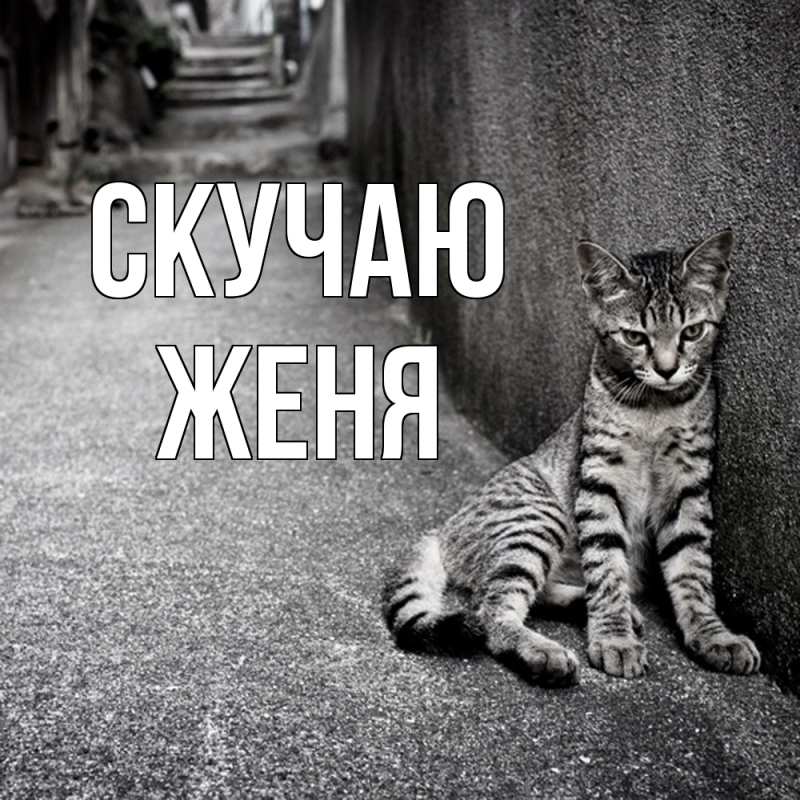 Картинка Скучаю, Женя