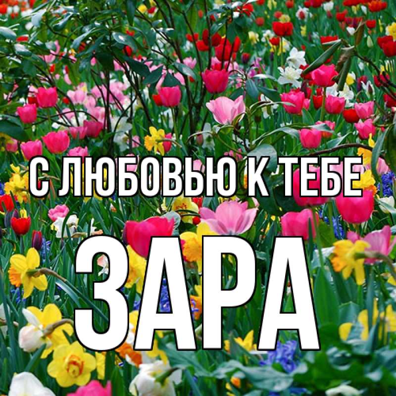 Картинка С любовью к тебе, Зара