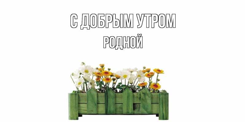 Картинка С добрым утром, Родной
