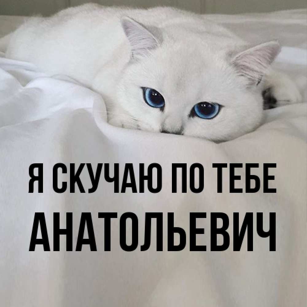 Открытка  с именем. Анатольевич, Я скучаю по тебе  