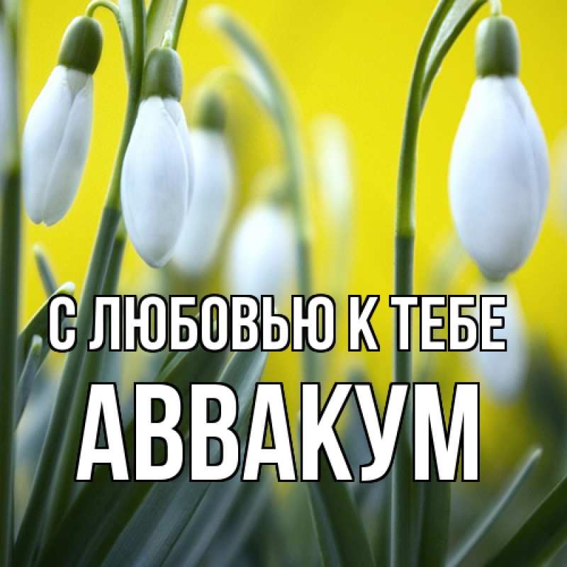 Картинка С любовью к тебе, Аввакум