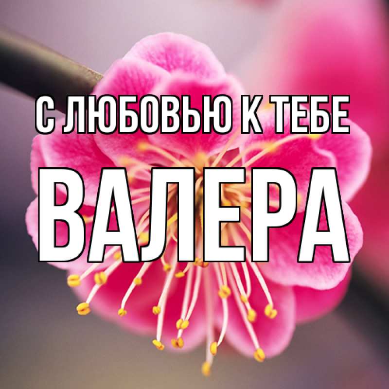 Картинка С любовью к тебе, Валера