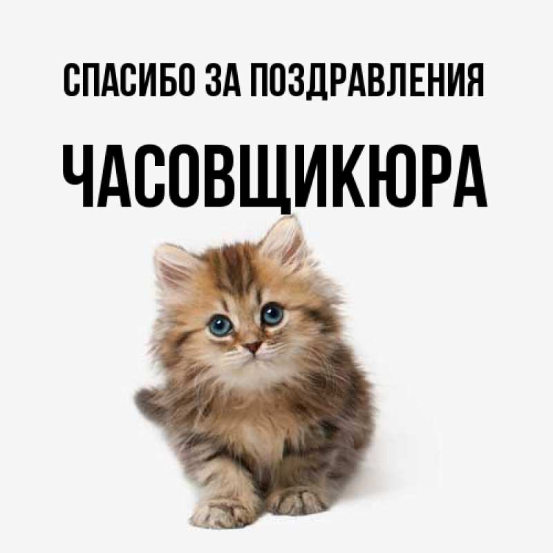 Картинка Спасибо за поздравления, Часовщикюра