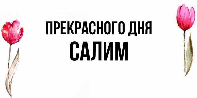 Картинка Прекрасного дня, Салим