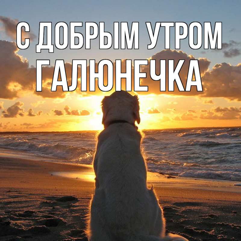Картинка С добрым утром, Галюнечка