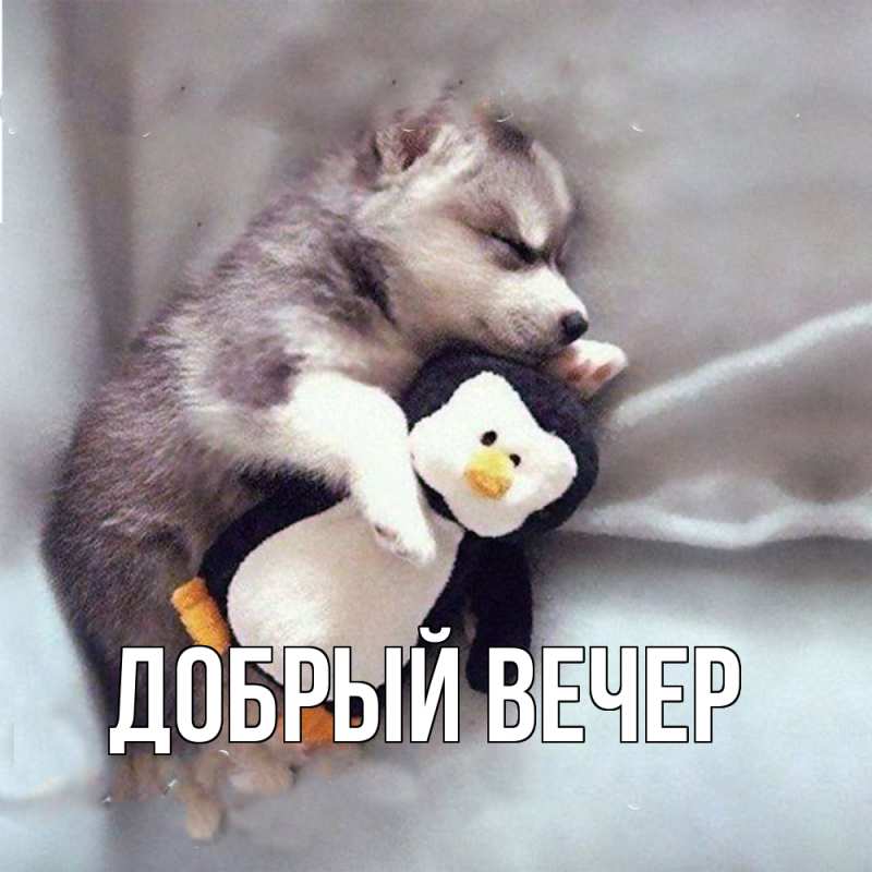 Картинка Добрый вечер, 