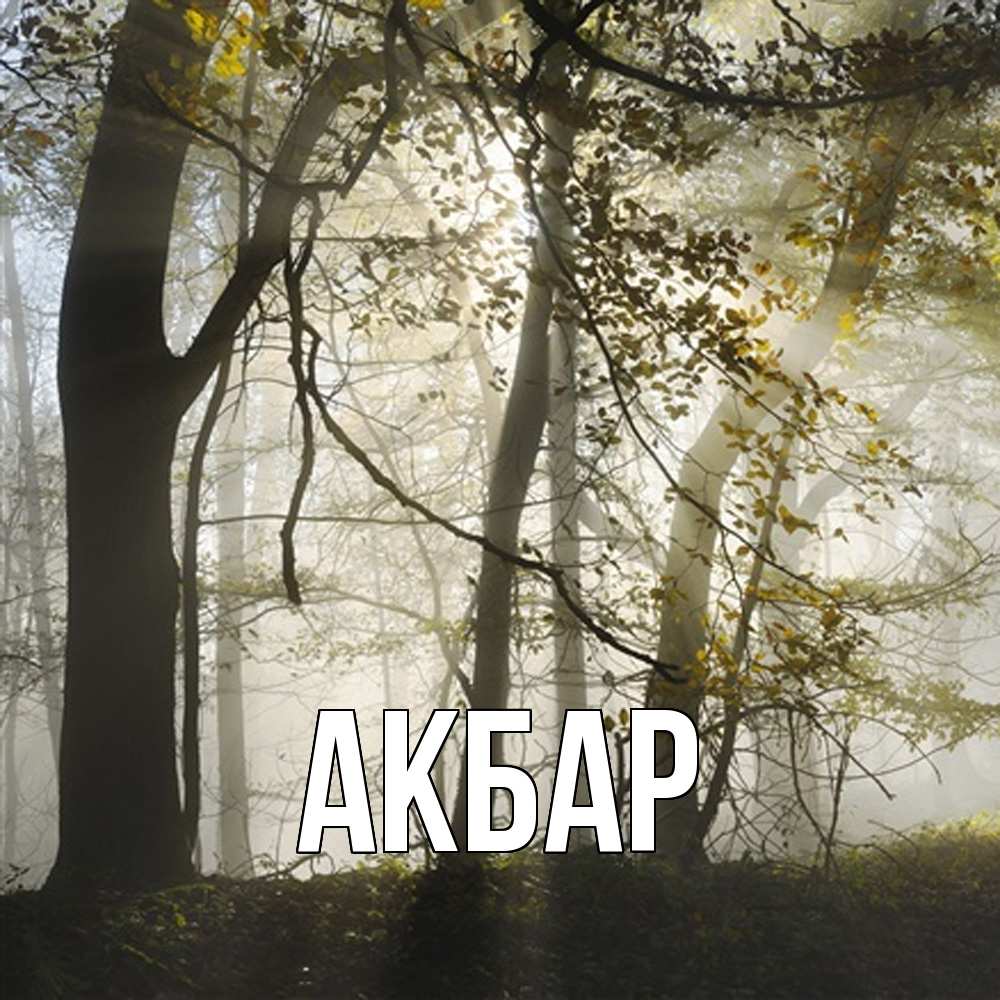 Открытка  с именем. Акбар, Главная  