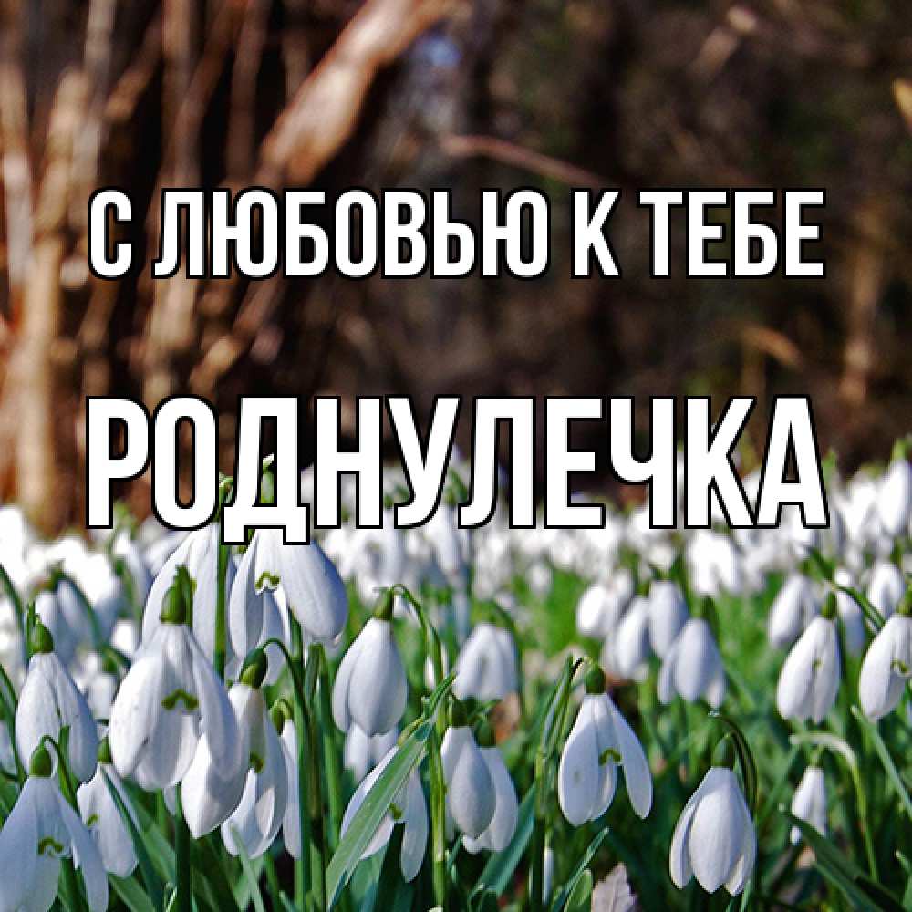 Открытка  с именем. Роднулечка, С любовью к тебе  