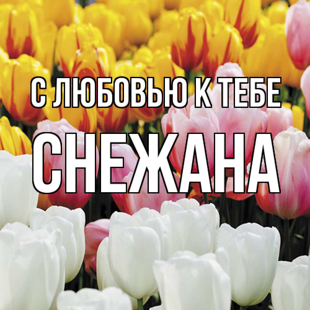 Открытка  с именем. Снежана, С любовью к тебе  