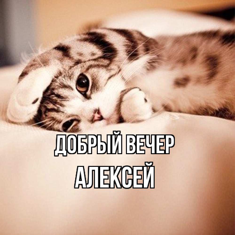 Открытка  с именем. Алексей, Добрый вечер  