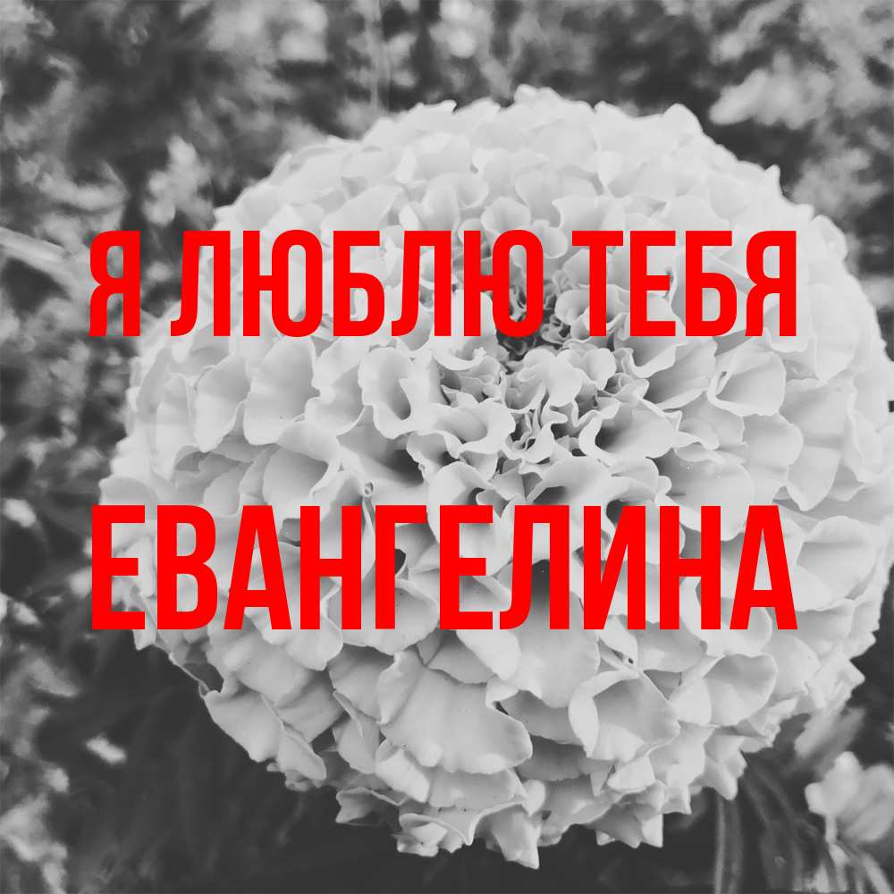 Открытка  с именем. Евангелина, Я люблю тебя  