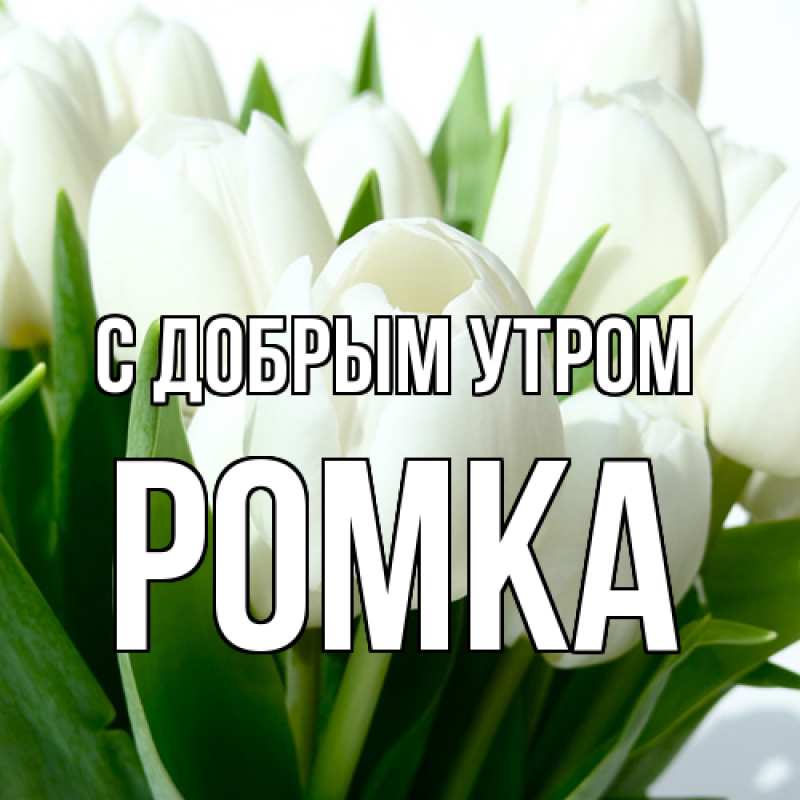 Картинка С добрым утром, Ромка