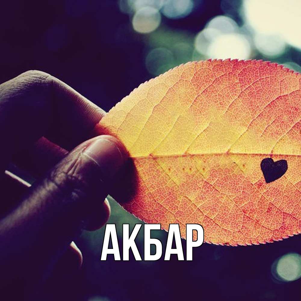 Открытка  с именем. Акбар, Главная  