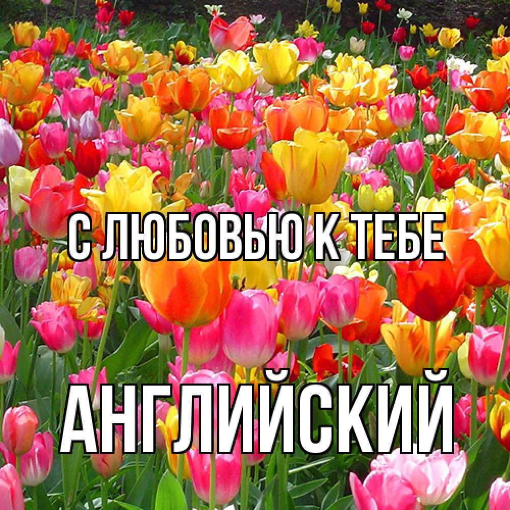 Открытка  с именем. Английский, С любовью к тебе  