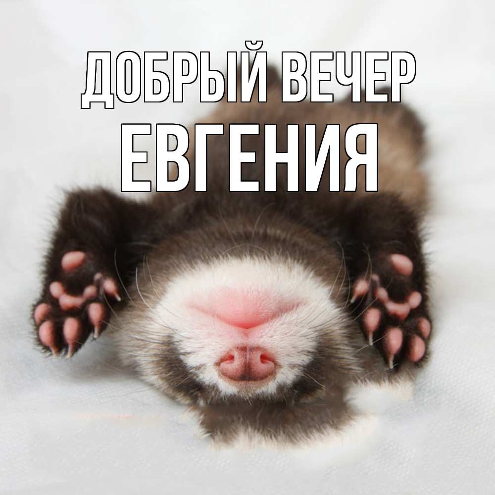 Открытка  с именем. Евгения, Добрый вечер  