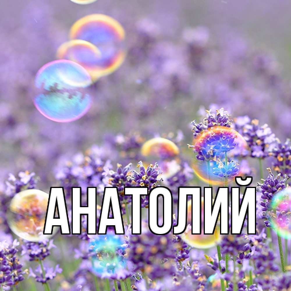 Открытка  с именем. Анатолий, Главная  
