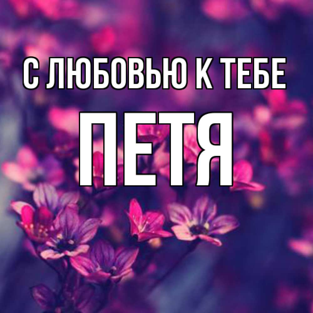Открытка  с именем. Петя, С любовью к тебе  