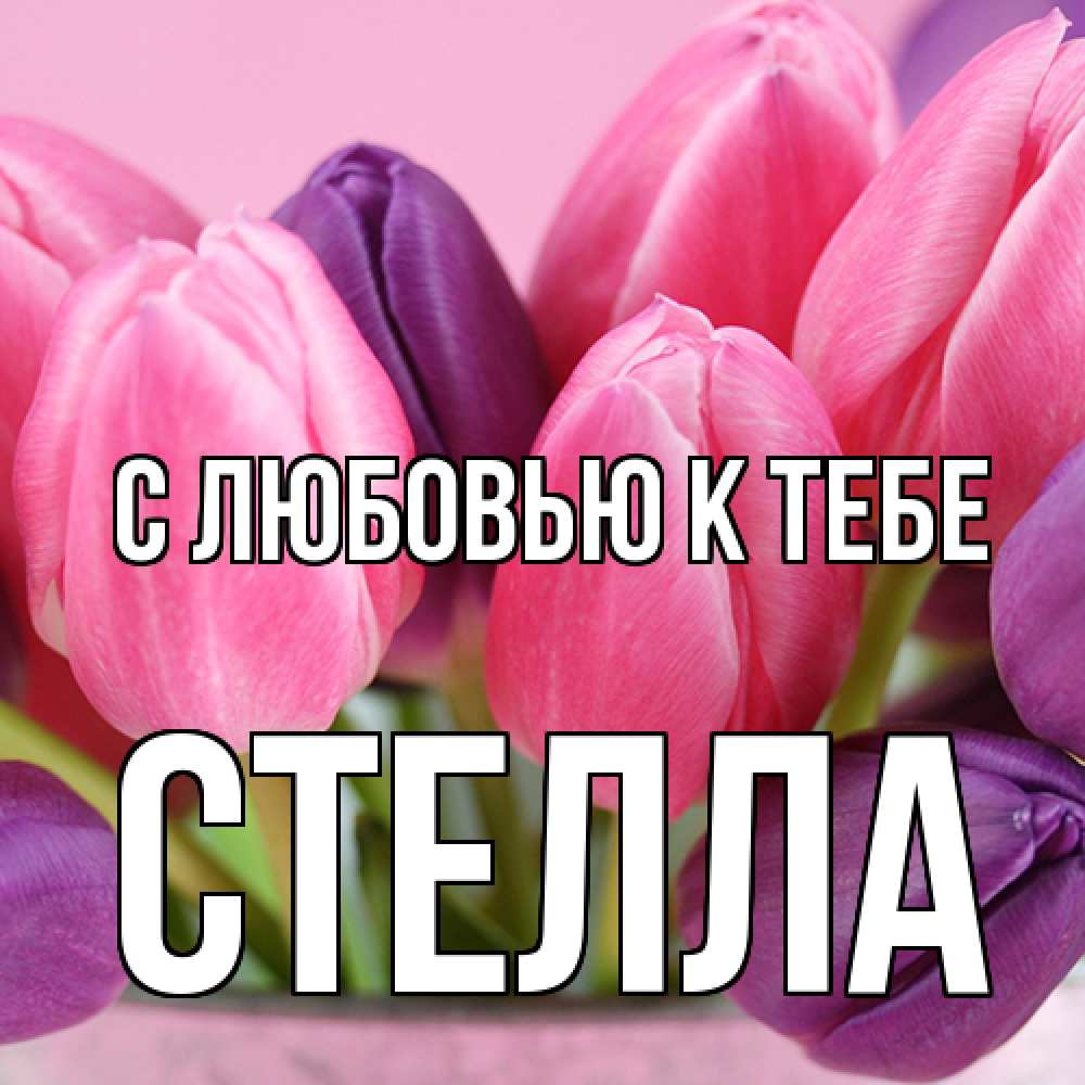 Открытка  с именем. Стелла, С любовью к тебе  