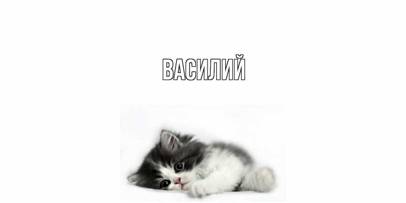 Картинка  с именем , Василий