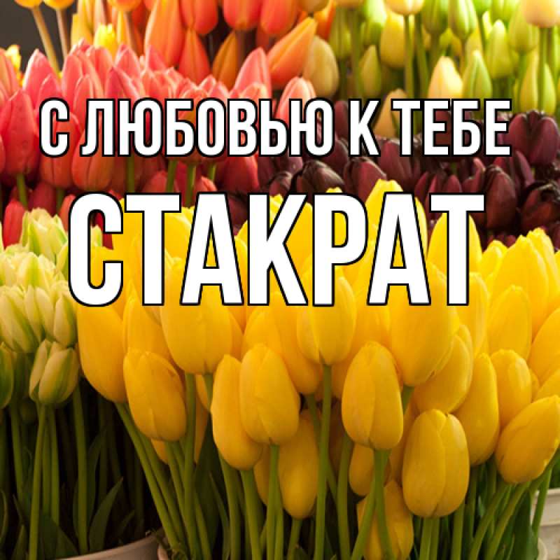 Картинка С любовью к тебе, Стакрат