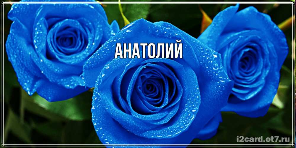 Открытка  с именем. Анатолий, Главная  