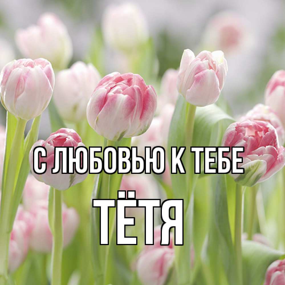 Открытка  с именем. Тётя, С любовью к тебе  