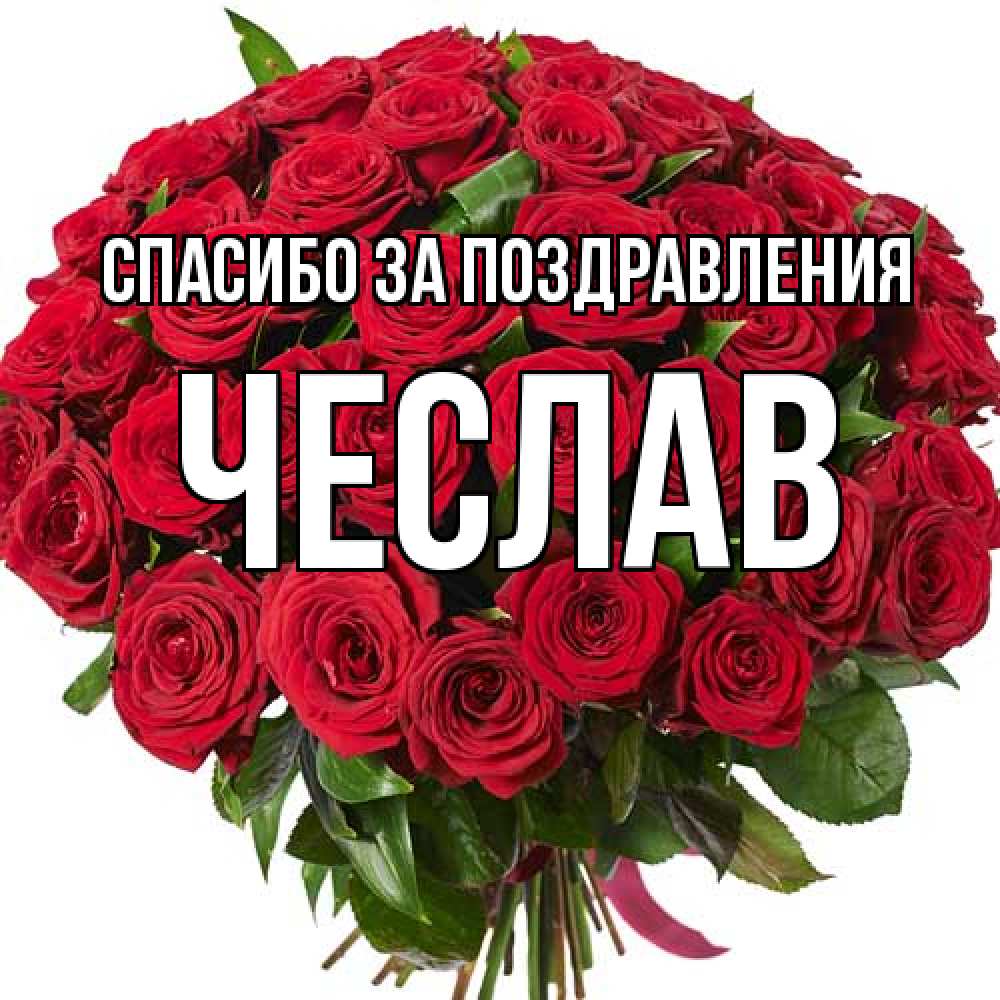 Открытка  с именем. Чеслав, Спасибо за поздравления  