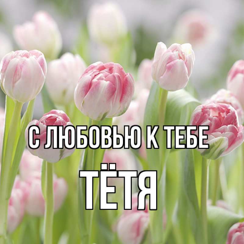 Картинка С любовью к тебе, Тётя
