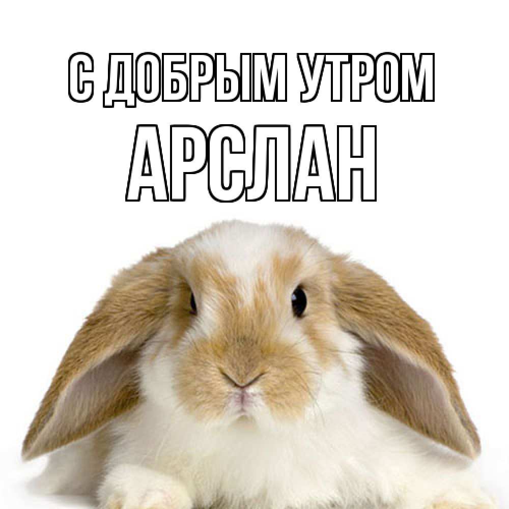 Открытка  с именем. Арслан, С добрым утром  