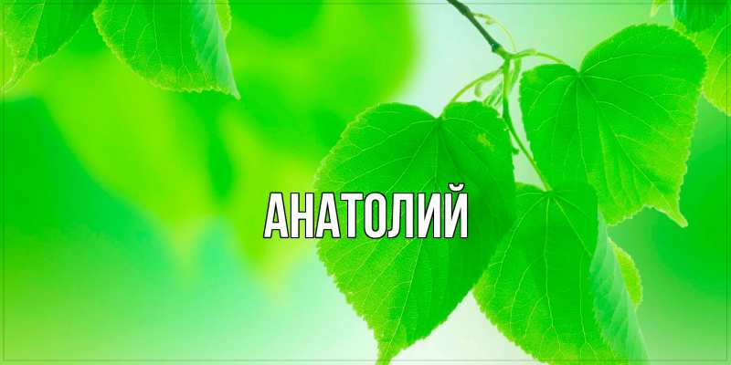 Картинка  с именем , Анатолий