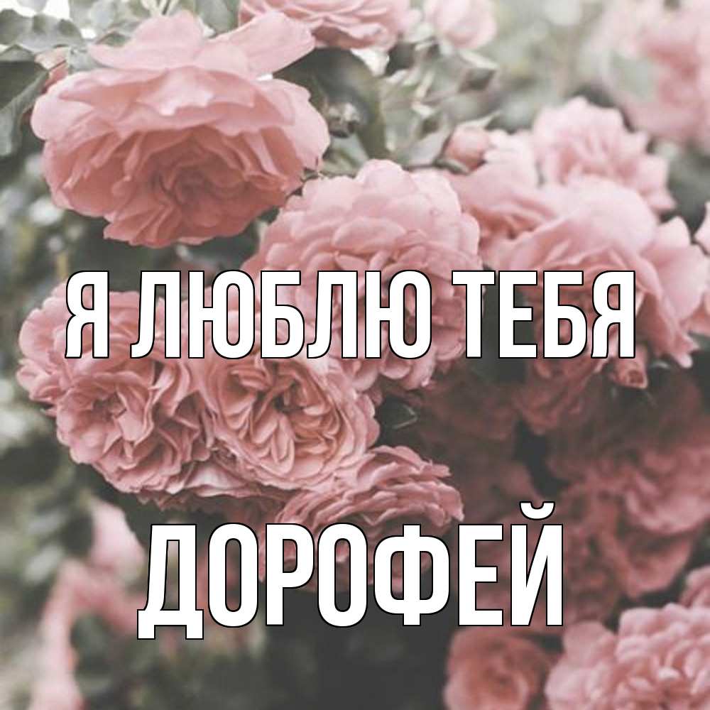 Открытка  с именем. Дорофей, Я люблю тебя  