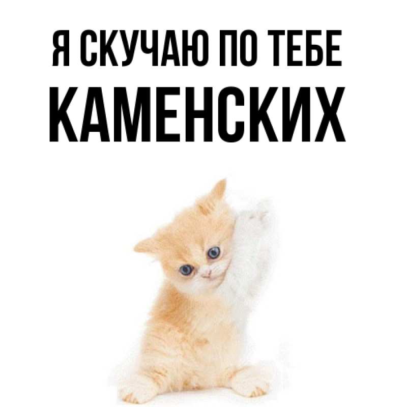 Картинка Я скучаю по тебе, Каменских