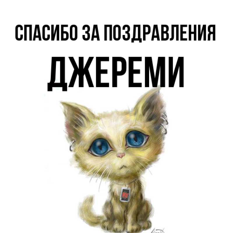 Картинка Спасибо за поздравления, Джереми