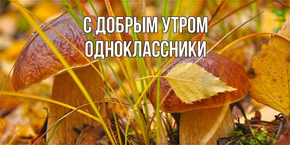 Открытка  с именем. Одноклассники, С добрым утром  