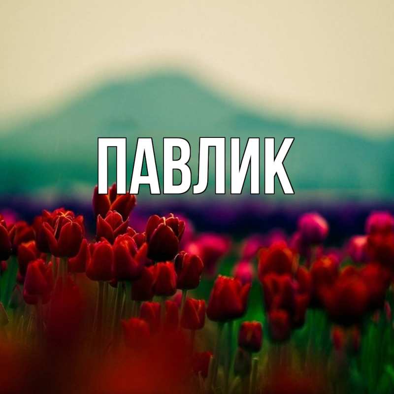 Картинка  с именем , Павлик