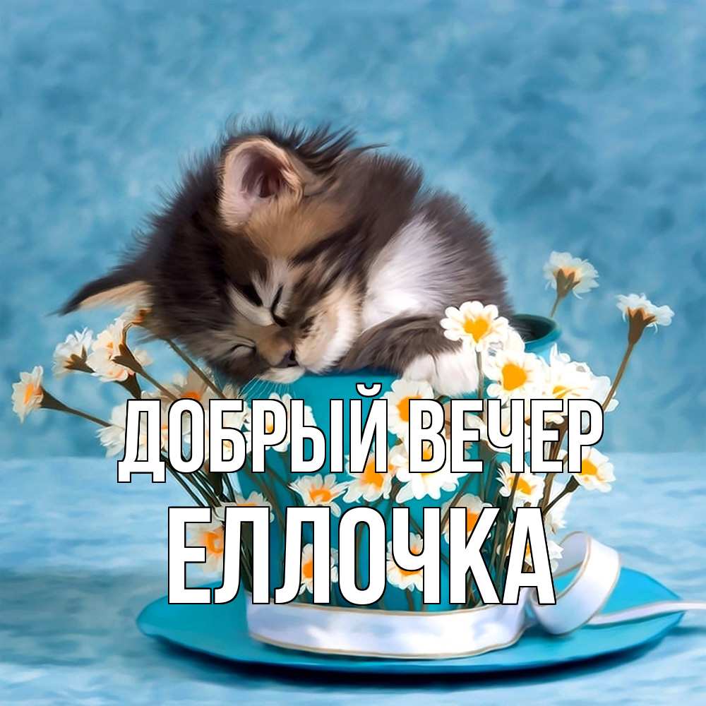 Открытка  с именем. Еллочка, Добрый вечер  