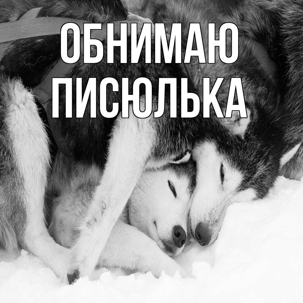 Открытка  с именем. Писюлька, Обнимаю  