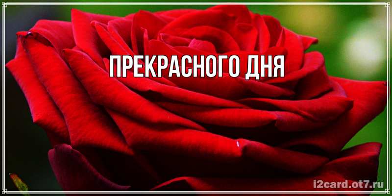 Картинка Прекрасного дня, 