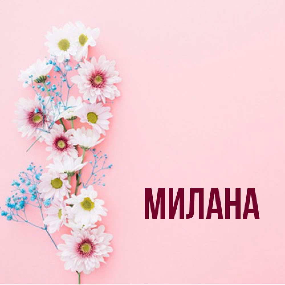 Открытка  с именем. Милана, Главная  