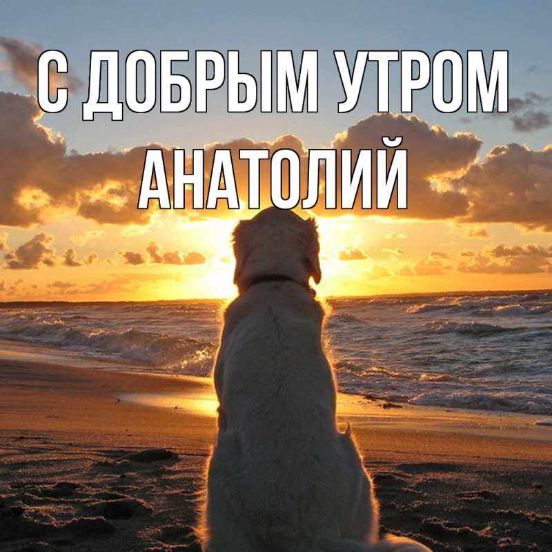Картинка С добрым утром, Анатолий