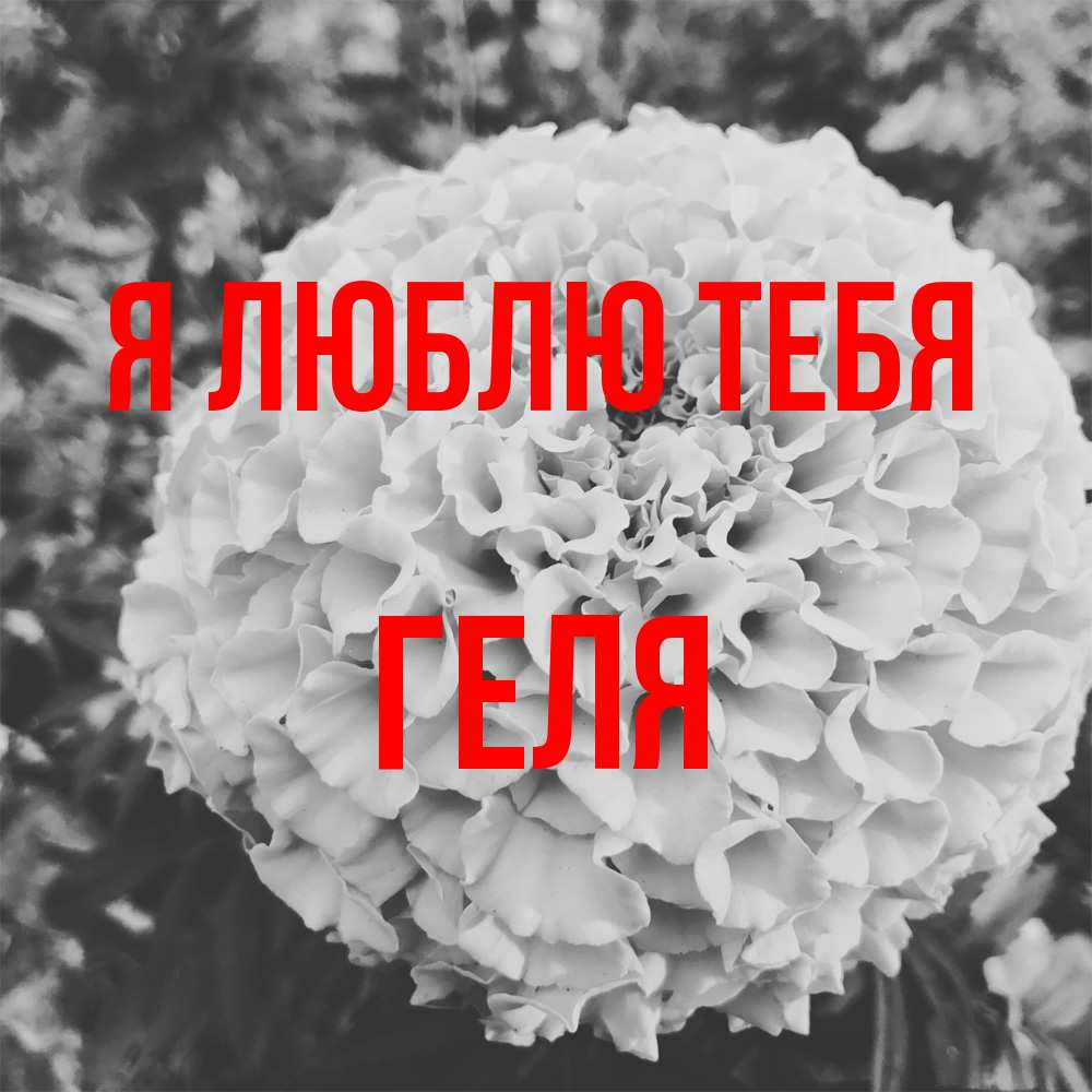 Открытка  с именем. Геля, Я люблю тебя  
