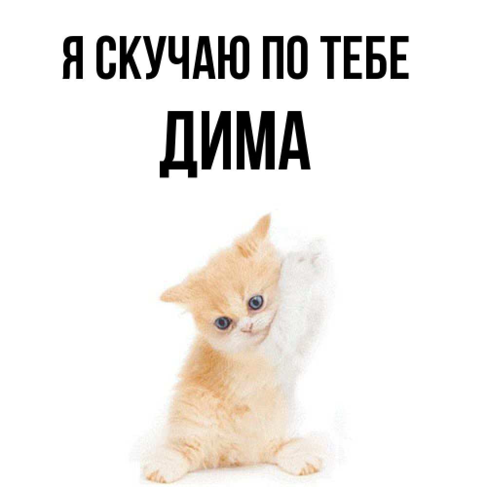 Открытка  с именем. Дима, Я скучаю по тебе  