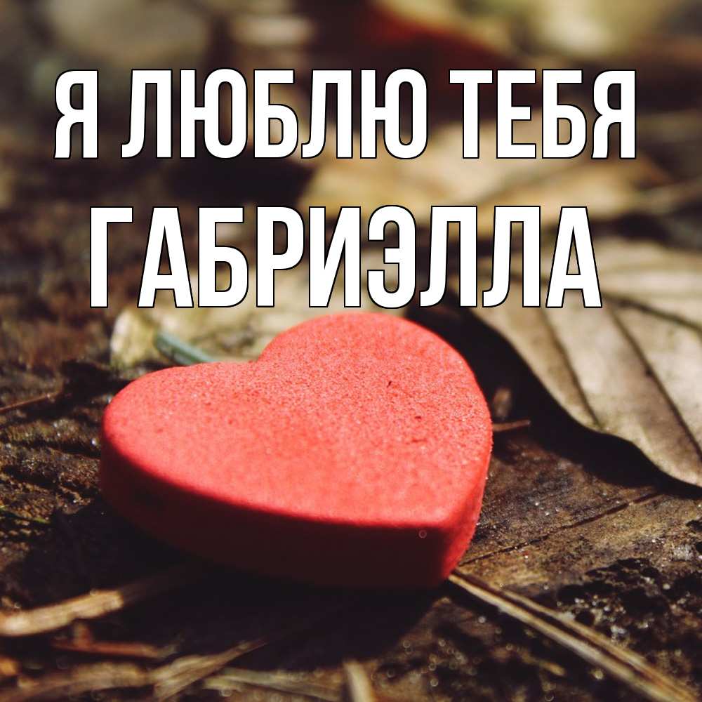 Открытка  с именем. Габриэлла, Я люблю тебя  