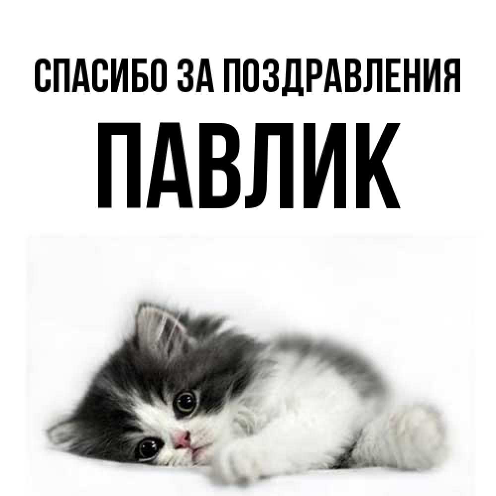 Открытка  с именем. Павлик, Спасибо за поздравления  