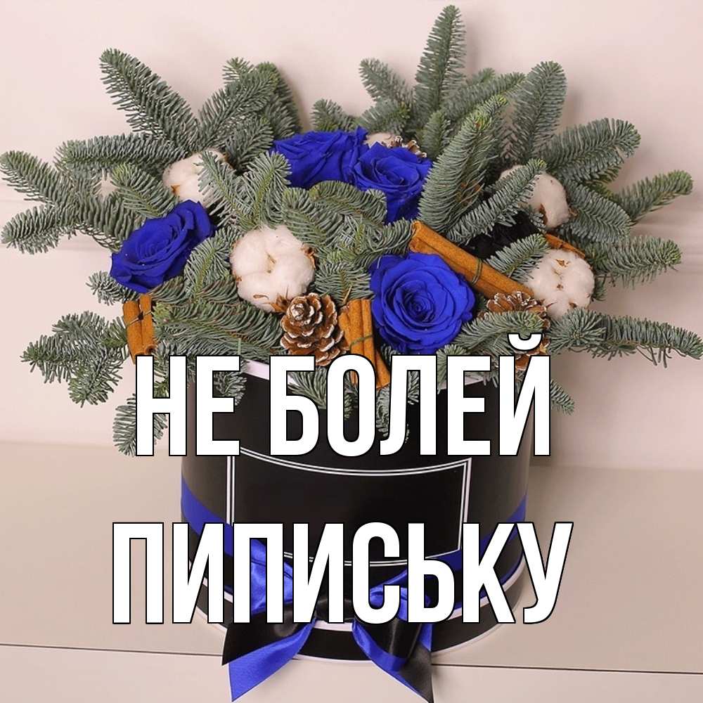 Открытка  с именем. Пипиську, Не болей  
