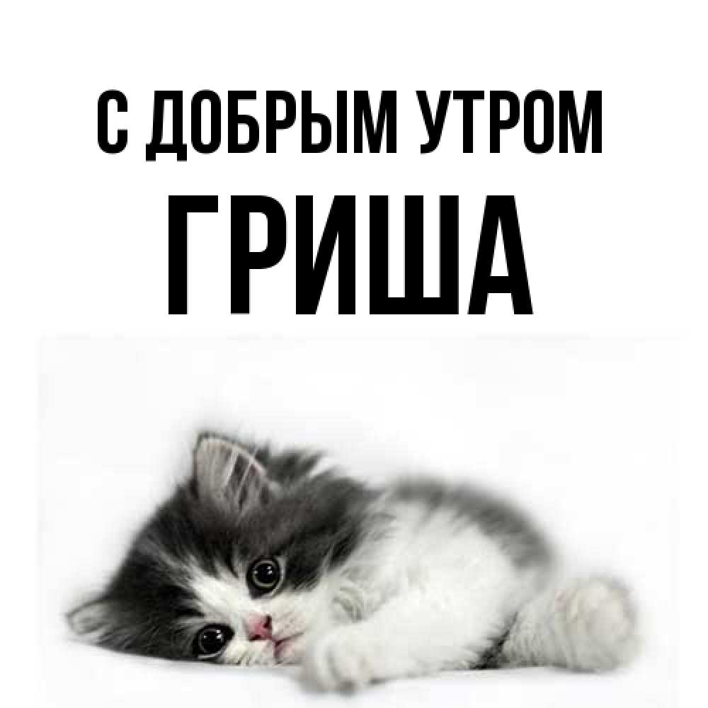 Открытка  с именем. Гриша, С добрым утром  